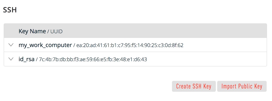 The SSH Keys table