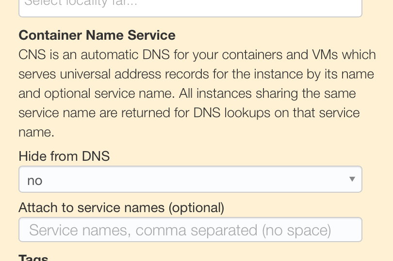 Setting Triton CNS details when creating an instance in the Triton Compute Service portal.