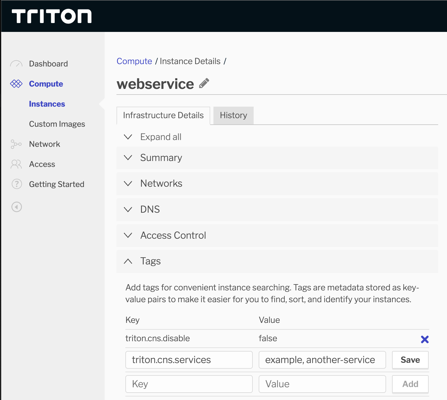 Modifying the service names for an instance in the Triton Compute Service portal.