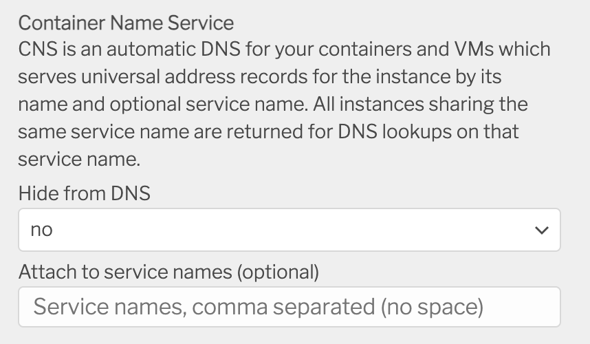 Setting Triton CNS details when creating an instance in the Triton Compute Service portal.